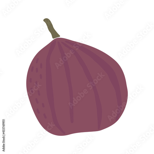 Abstract fig fruit vector, summer fruit illustration, boho fig vector