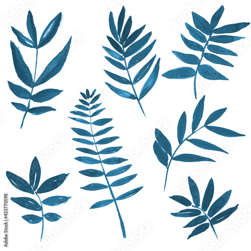 hand illustrated leaf collection