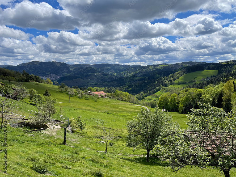 Obraz premium Wanderung im Schwarzwald