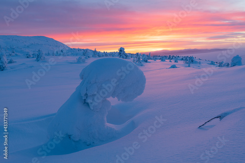 Winter forest, beautiful Finnish Lapland region. © zhuxiaophotography