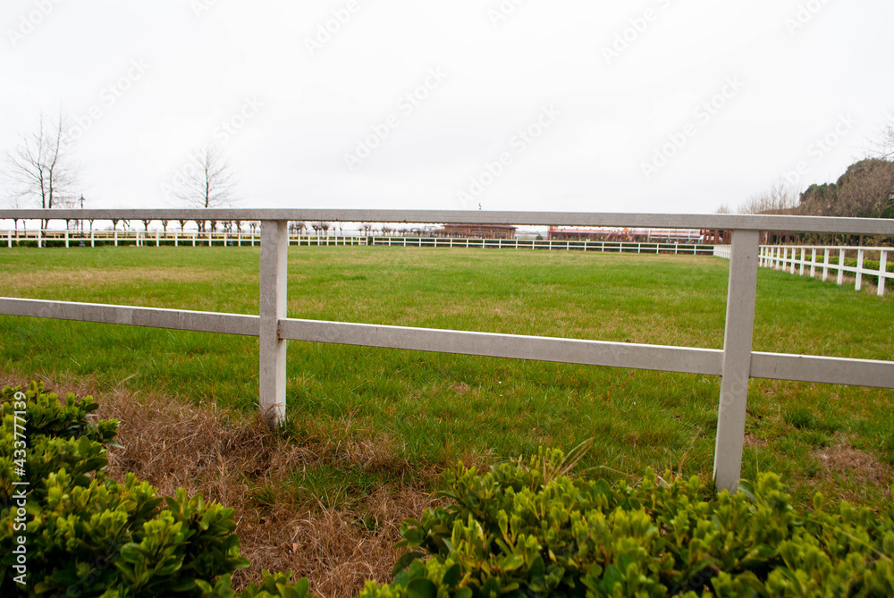 Levada paddock for walking and training horses. Manege, show jumping for horse training. Green and large horse levada Levada paddock for walking and training horses. Manege, show jumping for horse training. Green and large horse levada