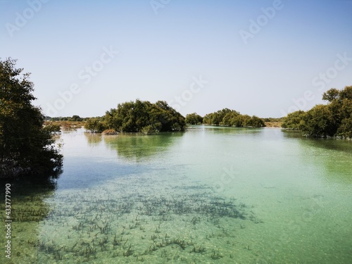 lake and  mangrove trees in Al Jubail Park, Abu Dhabi, UAE.