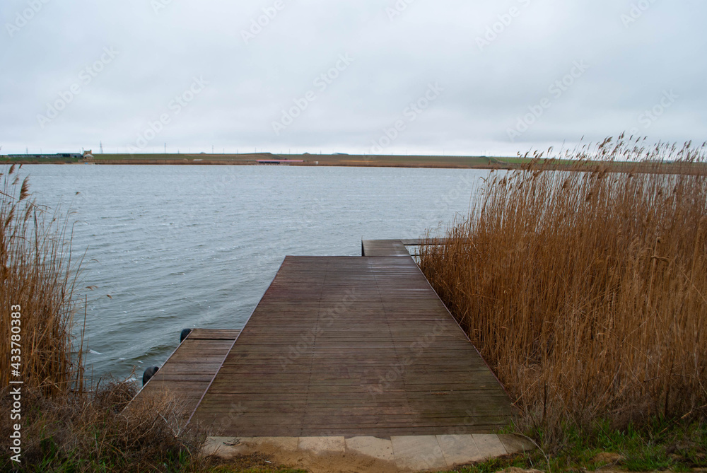 Naklejka premium The image of a narrow wooden bridge leading to the lake and reeds. Long and narrow bridge with reeds on the right