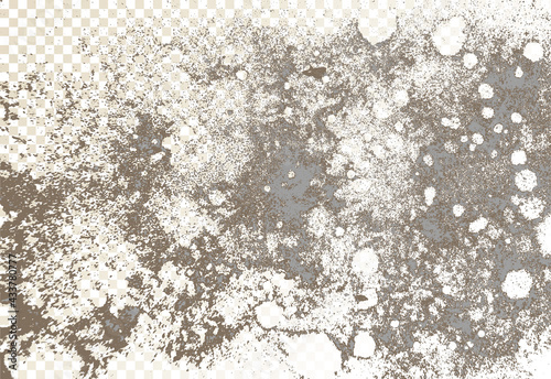 Mold, mildew, decay, stains, splashes, explosion. On an isolated background. Trail of grunge blots and splashes. Vector pattern of natural origin. photo