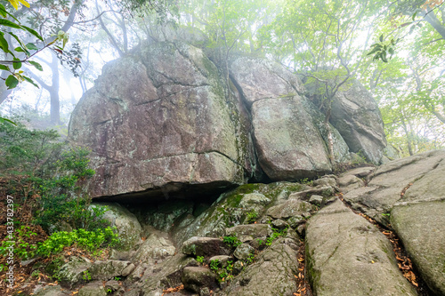 宝満山登山道　福岡県太宰府市　Mt.Houmanzan Fukuoka-ken Dazaifu city photo