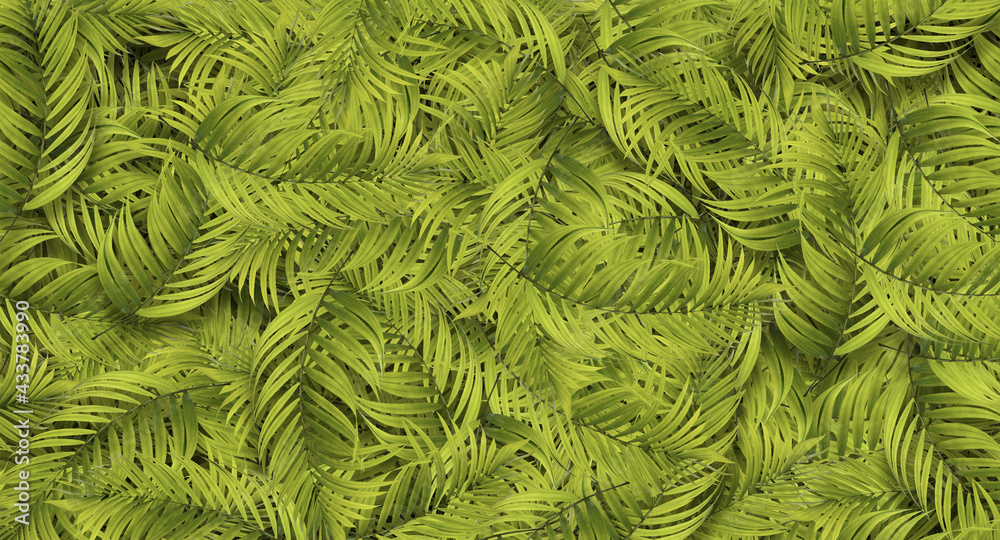 Random spread palm leaves no gap, compact design