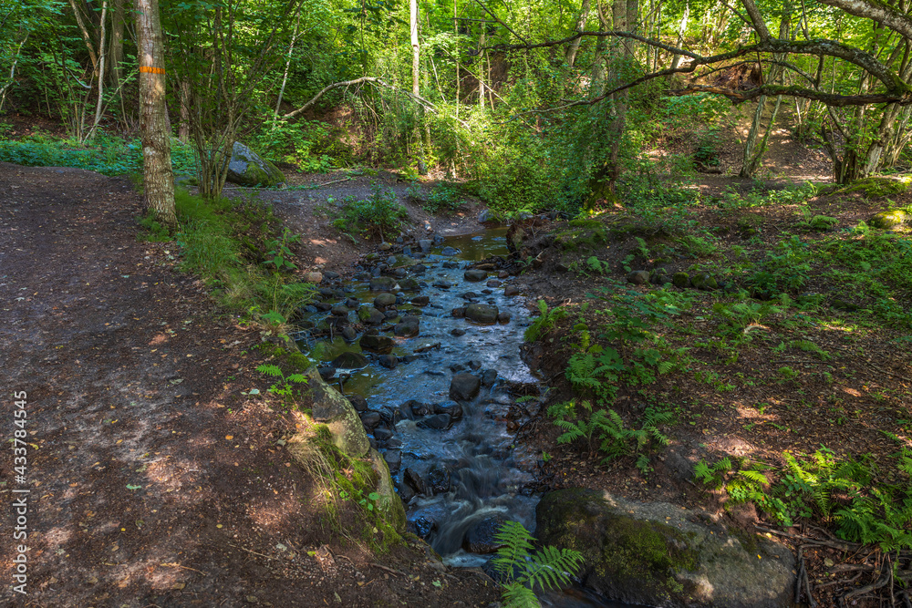 Obraz premium Beautiful summer nature landscape view. Small stream in green forest. Sweden.