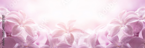 Fototapeta Naklejka Na Ścianę i Meble -  Lilac flowers close-up