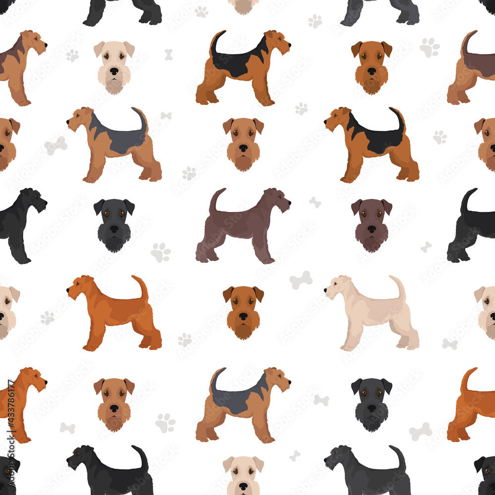 Airedale terrier all colours seamless pattern. Different coat colors set