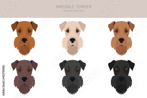 Airedale terrier all colours clipart. Different coat colors set.