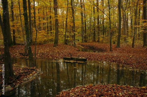 Augsburger Siebentischwald im Herbst photo