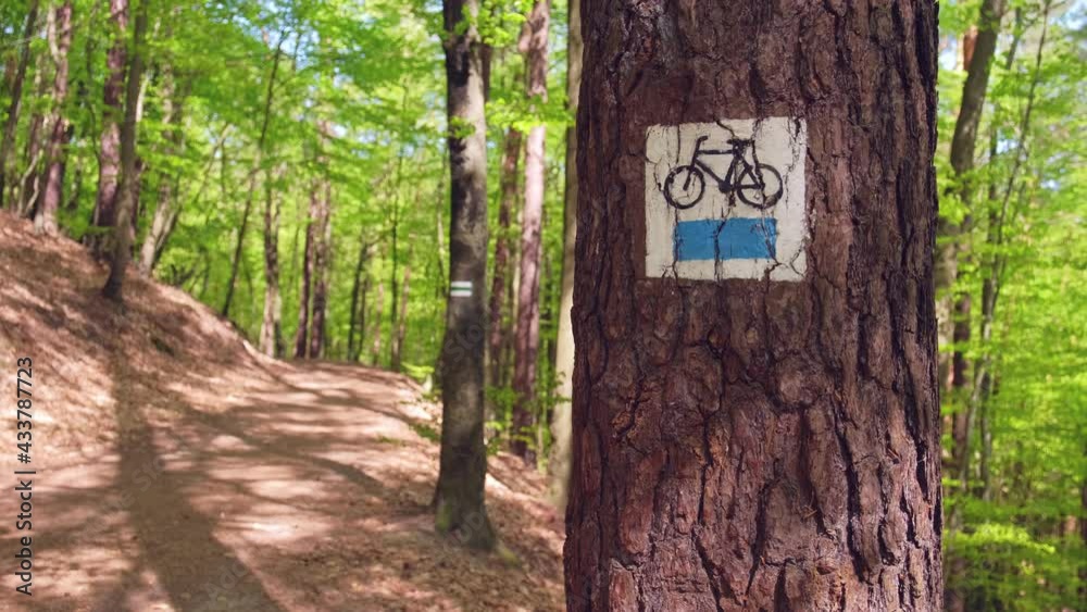 Biking and Hiking Trail Markings on a Tree by Path Through Green Forest
Biking and Hiking Trail Markings on a Tree by Path Through Green Forest