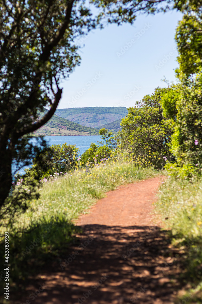 Fototapeta premium Paysage du Lac du Salagou (Occitanie, France)