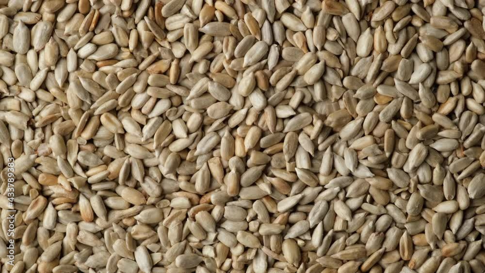 shelled sunflower seeds top view, rotation. 4K UHD video shelled sunflower seeds top view, rotation. 4K UHD video
