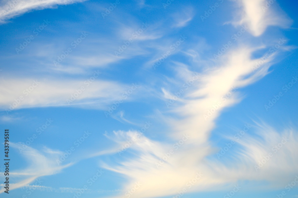 Fototapeta premium White summer clouds with blue sky