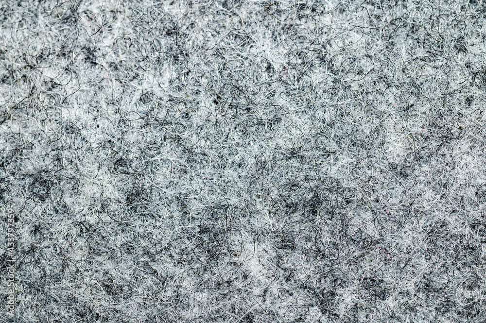 Obraz premium White and black paint grain wall background or texture