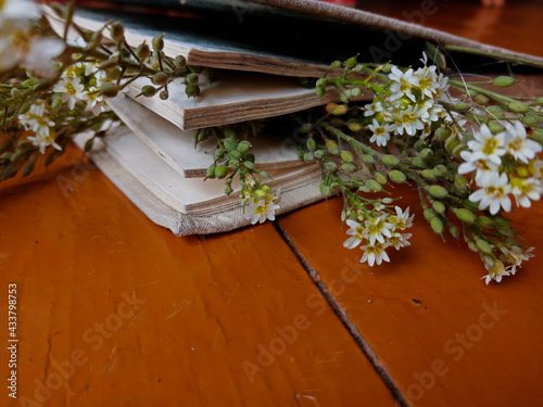 flowers lie in the book, the book lies on the brown boards. High quality photo