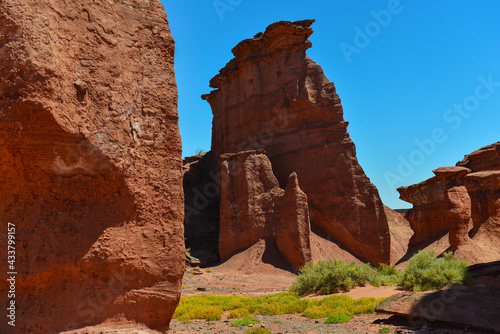 Sandstone cliffs of Talampaya National Park  La Rioja  Argentina