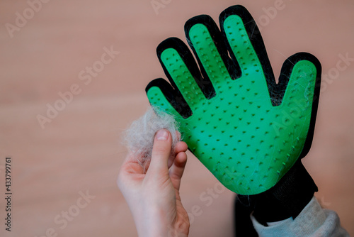 Foto A person holding a wool lump after cleaning a pet by green rubber glove with spikes