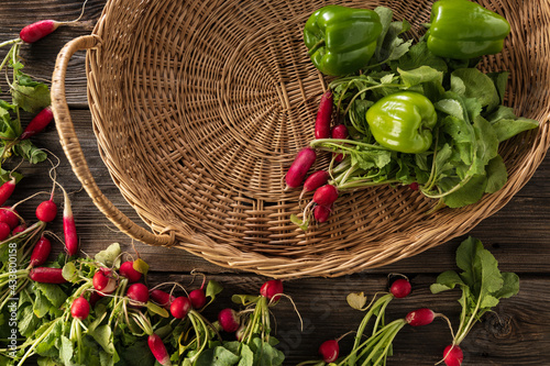 freshly picked radish with tops, leaves, green pepper, to collect home harvest lie on old wooden boards, and a wicker basket, season, farm, top view photo