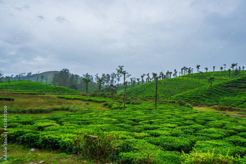 valparai-is-a-hill-station-in-the-south-indian-state-of-tamil-nadu