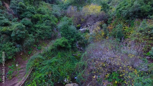 Ruisseau des singes chiffa, Blida Algérie photo