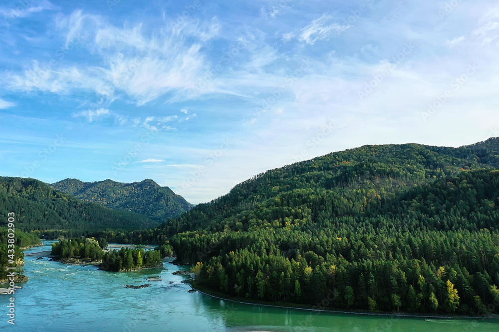 mountain altai river top view drone, landscape altai tourism top view