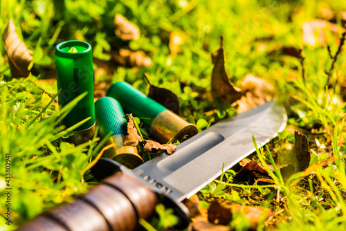 Combat knife and 12 gauge bullets on the grass with fallen leaves. Close up view of a grass level