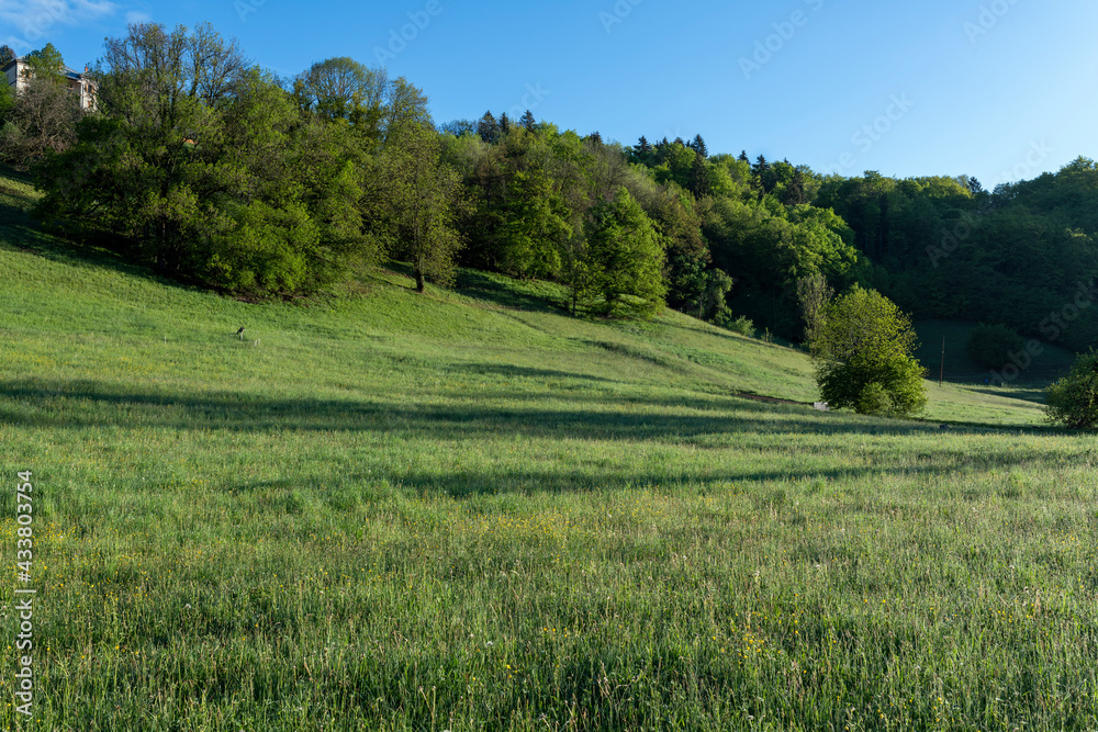 Fototapeta premium Paysage du Parc Naturel Régional des Bauges en Savoie en France dans les montagnes des Alpes