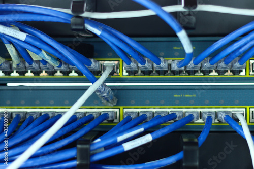 The network cables to connect Lan port