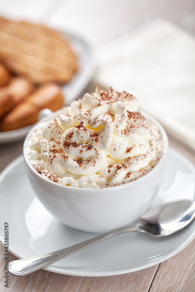 Hot chocolate with whipped cream and biscuits. High quality photo. Hot chocolate with whipped cream and biscuits. High quality photo.