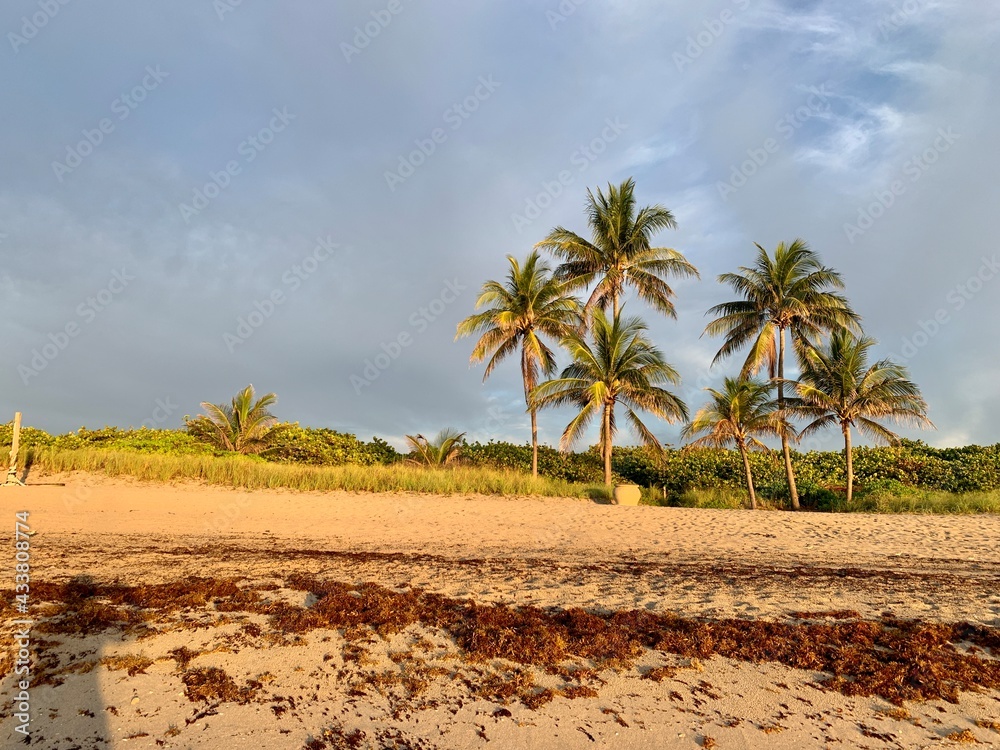 First light at Dania Beach in Broward, Florida