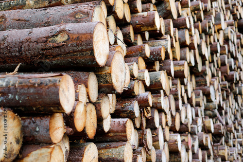 stack of firewood, selective focus, full frame, background