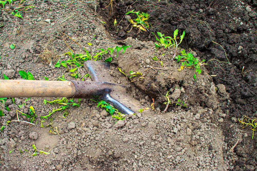 Dig garden. Spring preparation for the sowing concept Dig garden. Spring preparation for the sowing concept