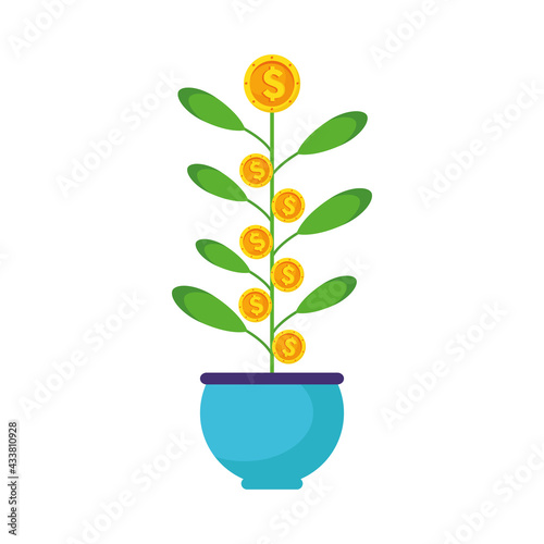 plant of coins dollars