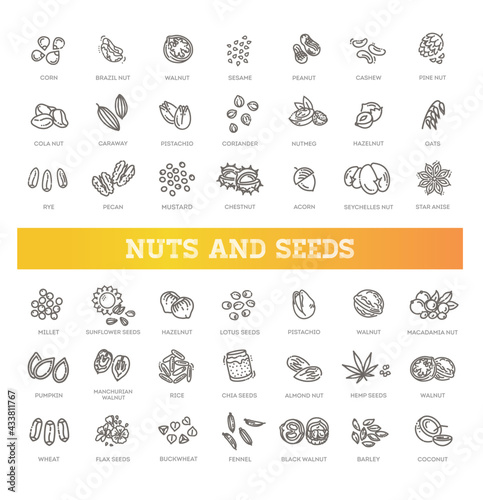 web icons collection - nuts, beans and seed.