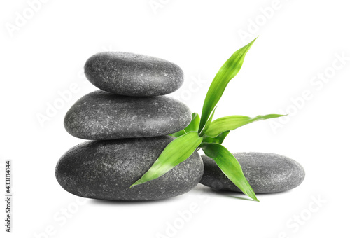 Spa stones and bamboo sprout on white background