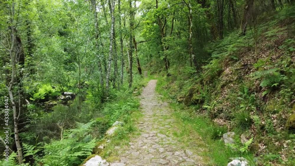 first-person view of a pilgrim on the Camino de Santiago. The small stone path runs through a beautiful green forest. first-person view of a pilgrim on the Camino de Santiago. The small stone path runs through a beautiful green forest.