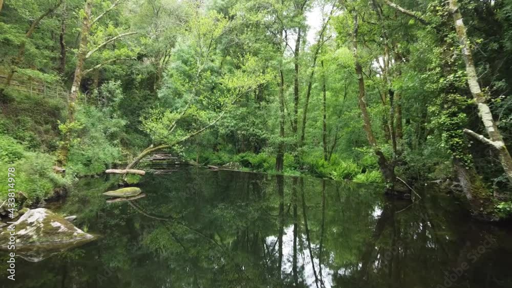 drone moving downstream in a beautiful green atlantic forest drone moving downstream in a beautiful green atlantic forest