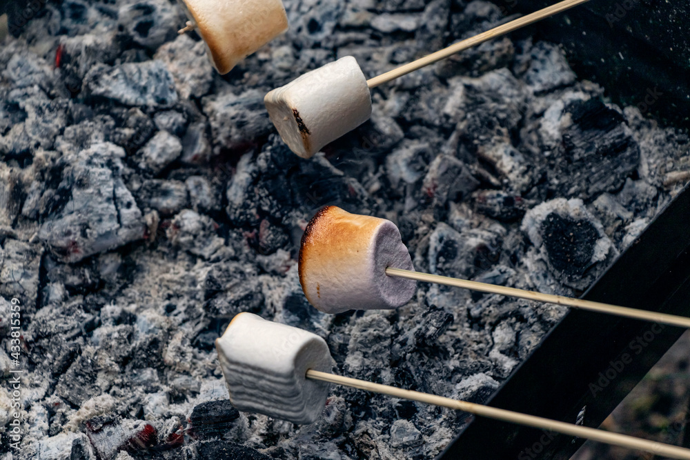 Obraz premium Grilled marshmallow on stick. Marshmallow on skewer roasted on charcoals, ready to be eaten. Tasty sweet, dessert for resting on nature.