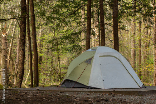 Tent Camper Outside In Forest Of Smoky Mountains