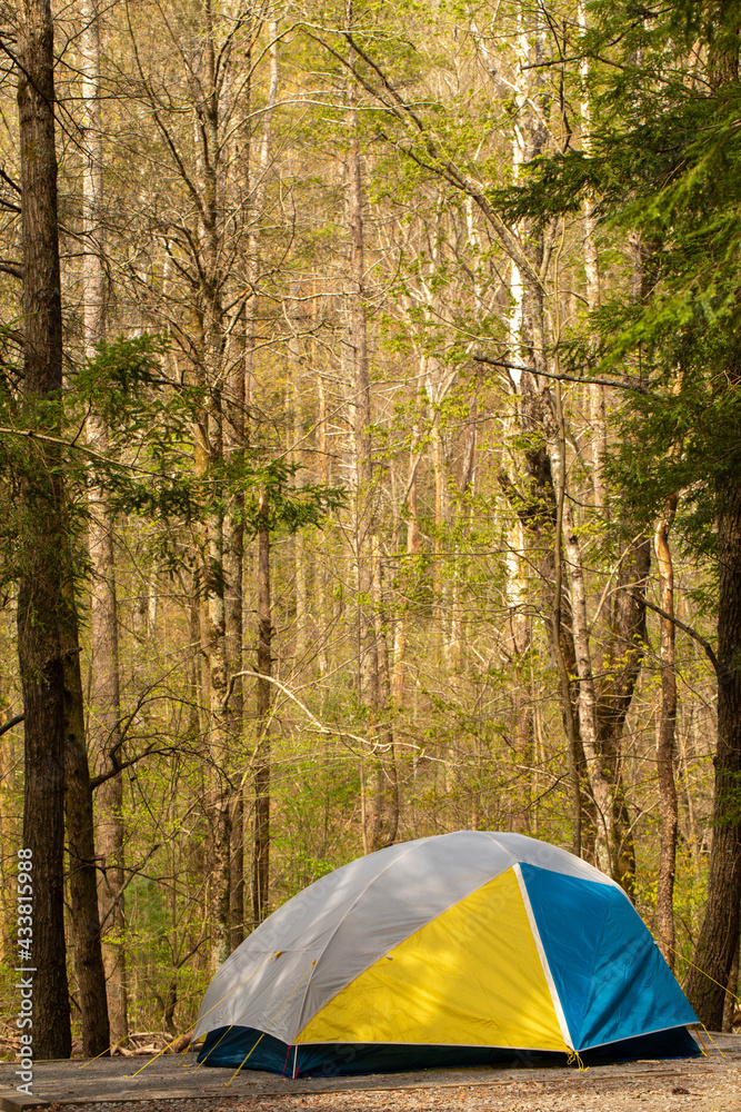 Tent Camping Outside In Smoky Mountains