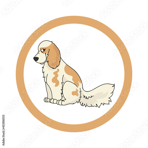 Cute cartoon Cocker Spaniel in circle dog vector clipart. Pedigree kennel doggie breed for kennel club. Purebred domestic dog training for pet parlor. Illustration mascot. Isolated canine. 