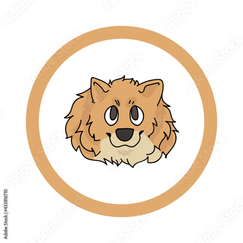 Cute cartoon Pomeranian face in circle dog vector clipart. Pedigree kennel doggie breed for kennel club. Purebred domestic dog training for pet parlor. Illustration mascot. Isolated canine. 