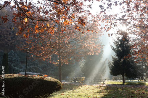 Dikmen park in autumn foliage in a foggy morning - Ankara, Turkey photo