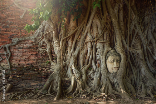 Ayutthaya historical park, Head of Buddha statue in the tree roots, Wat Mahathat temple, Phra Nakhon Si Ayutthaya province, Thailand © saravut