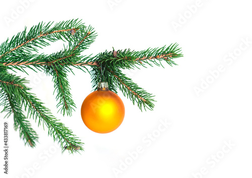 
Fir tree branch on white isolated background. Close up of gold balls on christmas tree. Christmas card template.