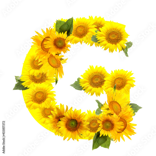 Fototapeta Naklejka Na Ścianę i Meble -  Letter G made of beautiful sunflowers on white background