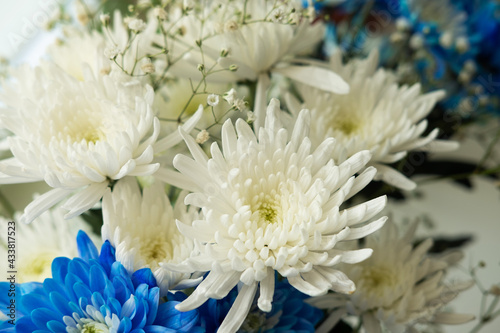 A beautiful bouquet of white and blue chrysanthemums. White chrysanthemums in a flower shop.