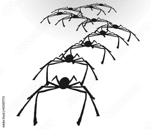 Black spiders group. vector illustration